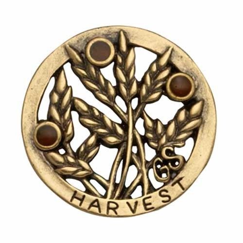 S JOURNEY SOW WHAT?PIN AWARD