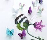 Baccarat Crystal  White Butterfly PURCHASED