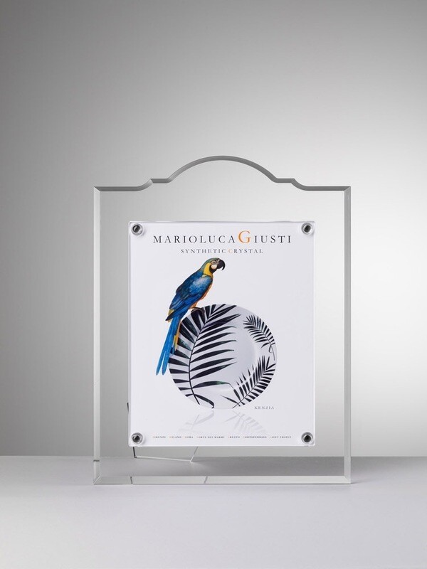 Mario Luca Giusti Large Acrylic Frame