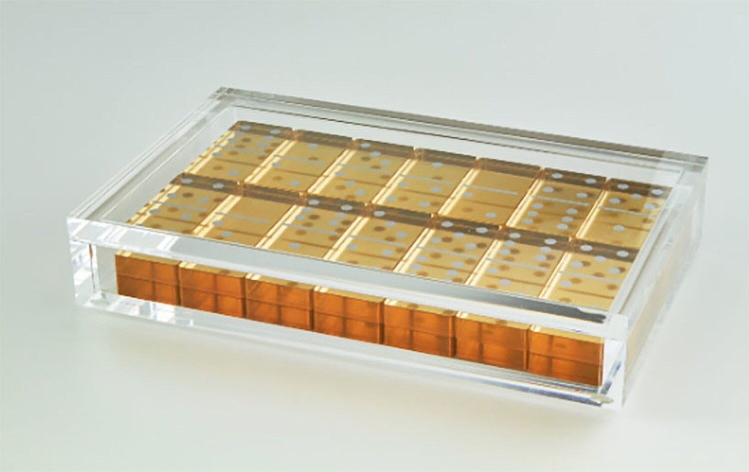 Gold Acrylic Dominoe Set