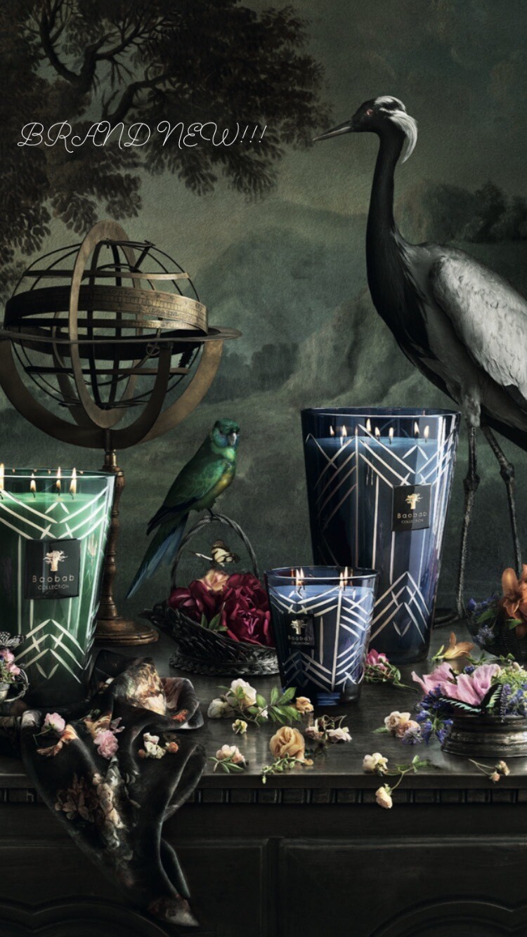 Baobab High Society Swann Max 10 Blue Candle