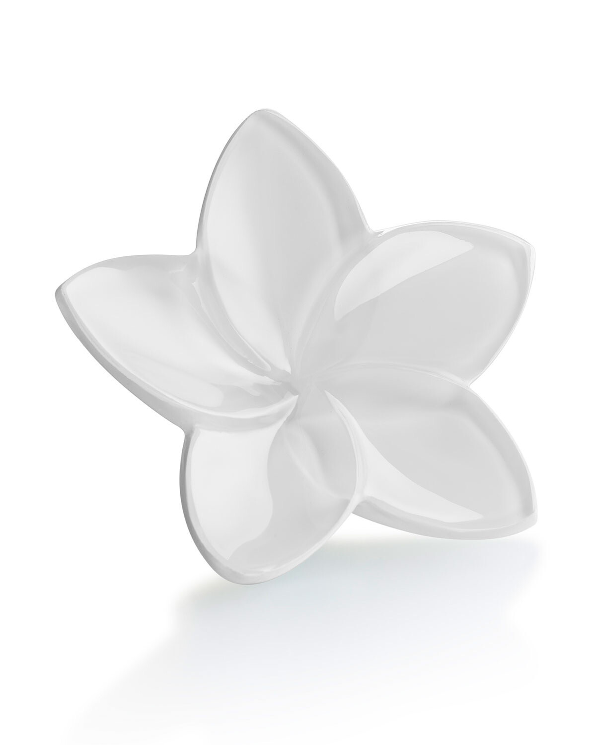 Baccarat Crystal White Flower PURCHASED