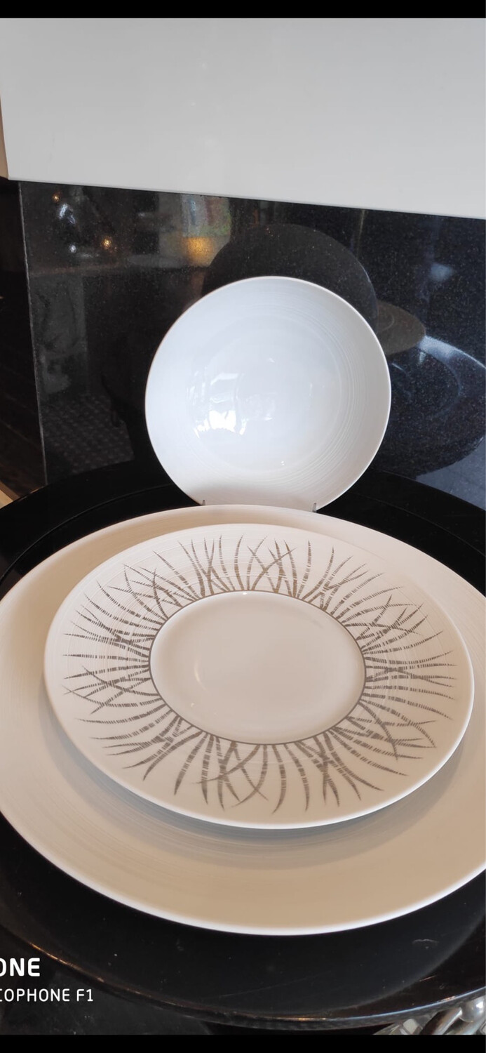 JL Coquet White Hemisphere White 16 29Cm Service, Salad Soup/Salad Bowl,  Tundra Platinum Salad Plate Needs 16