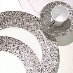 Bernardaud Ecume Platinum Salad Plates Needs 12