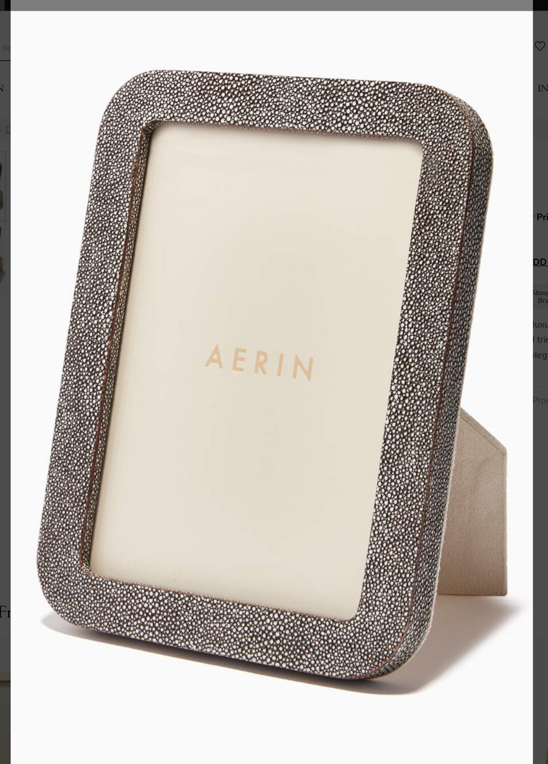 Aerin Brown Shagreen Frame 8x10