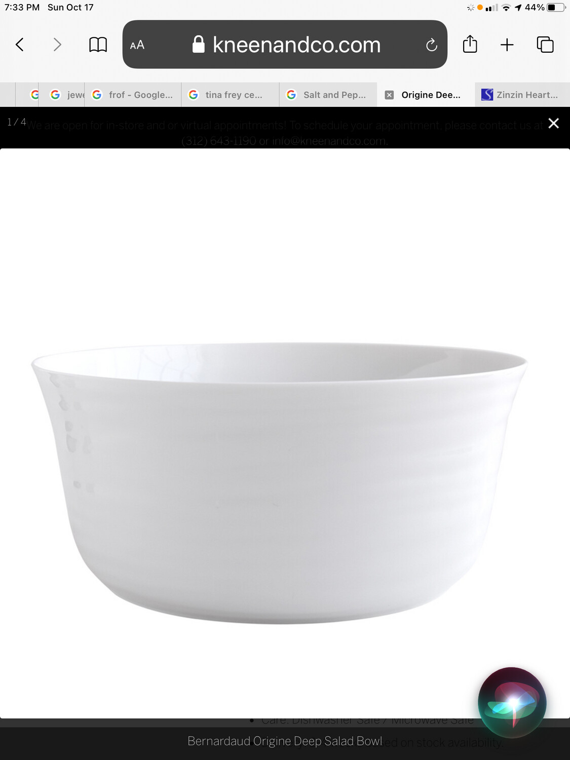 Bernardaud Origine Salad Bowl