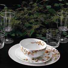 Vera Wang Vera Jardin 3 Piece Place Setting. Dinner, Salad, Cereal Bowl PURCHASED 1 Needs 11