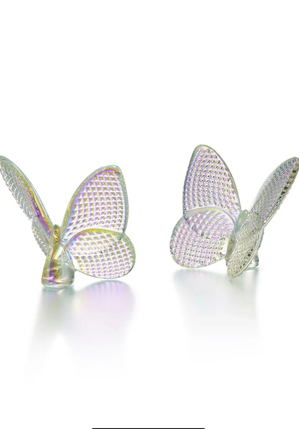 Baccarat Iridescent Diamanté Butterfly PURCHASED