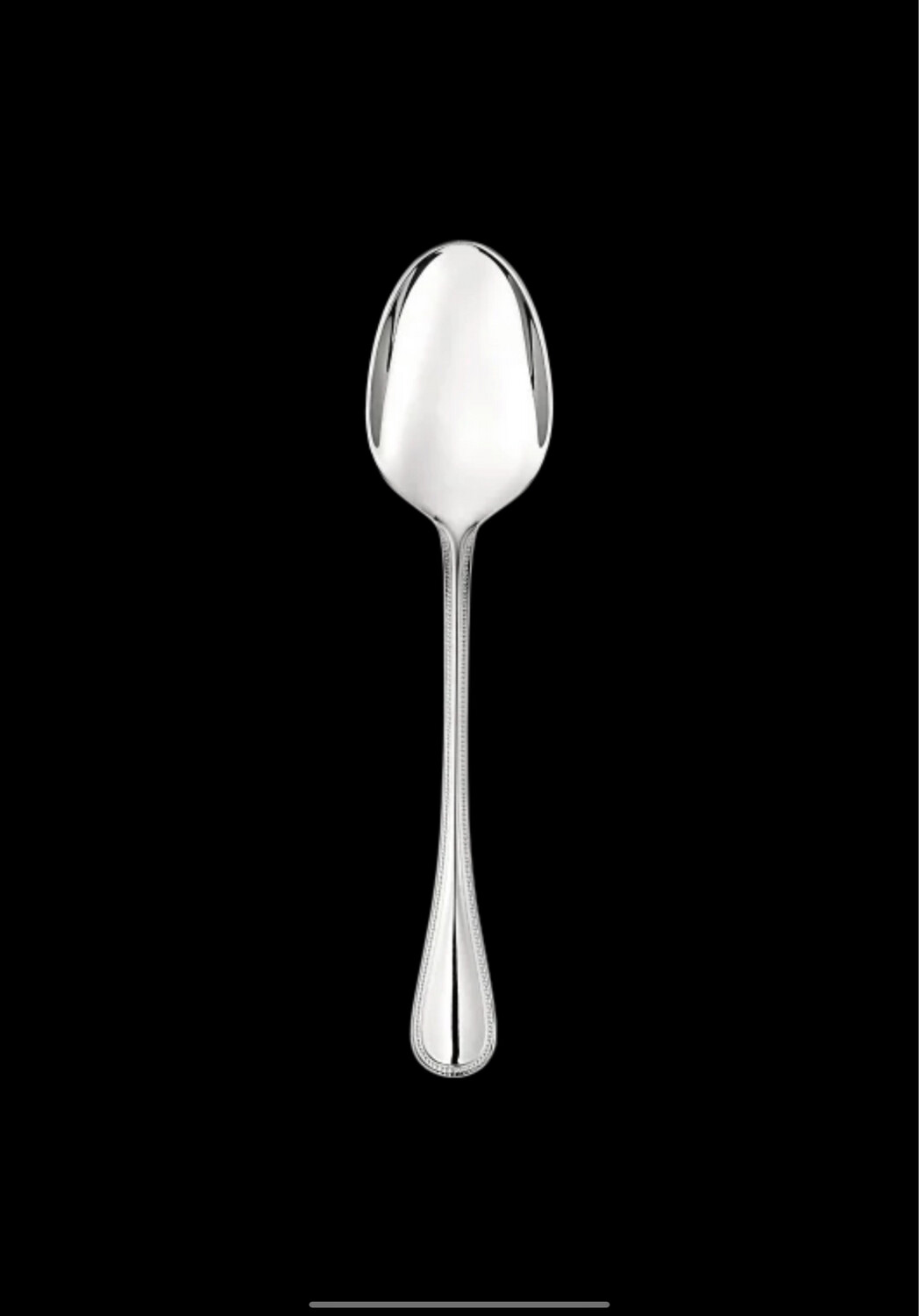 Christofle Stainless Steel Serving Spoon Purchased 