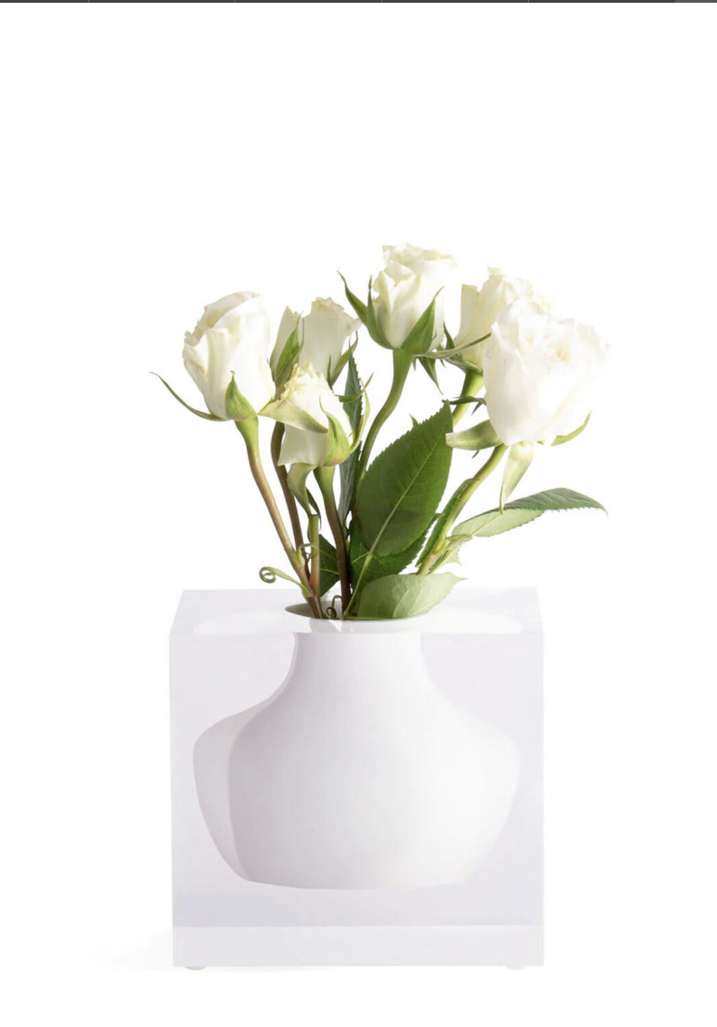 Jr Williams White Vase Needs 2
