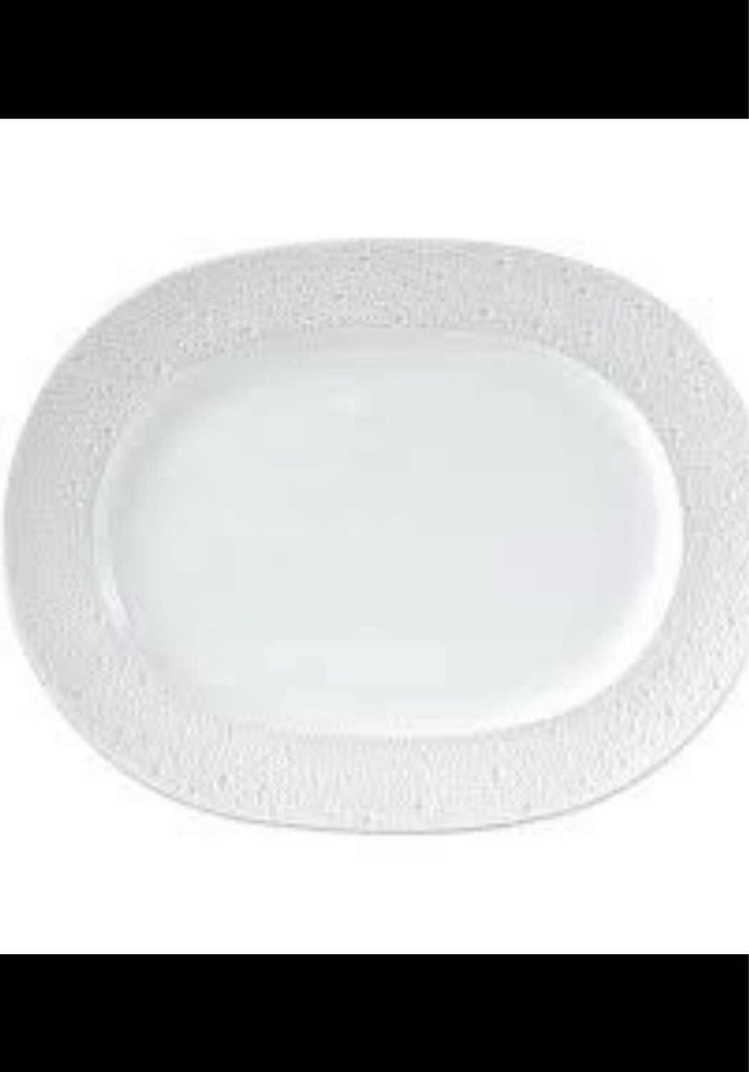 Bernardaud Ecume Oval 13 Inch Platter PURCHASED