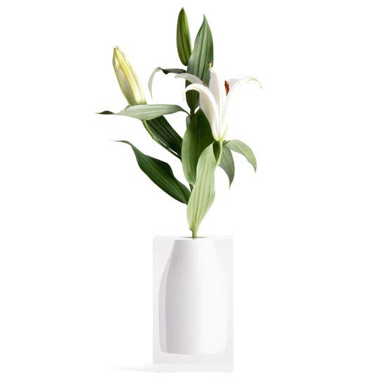 JR Williams Vase Hester 1 Purchased Needs 1