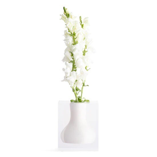 JR William Walker Vase White 1 PURCHASED Needs 1