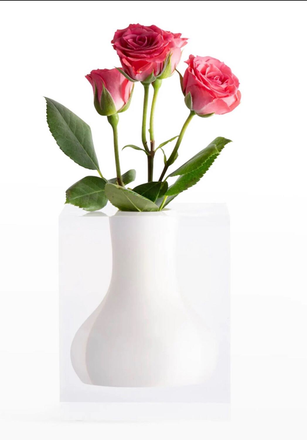 Jr Williams Vase Needs 2