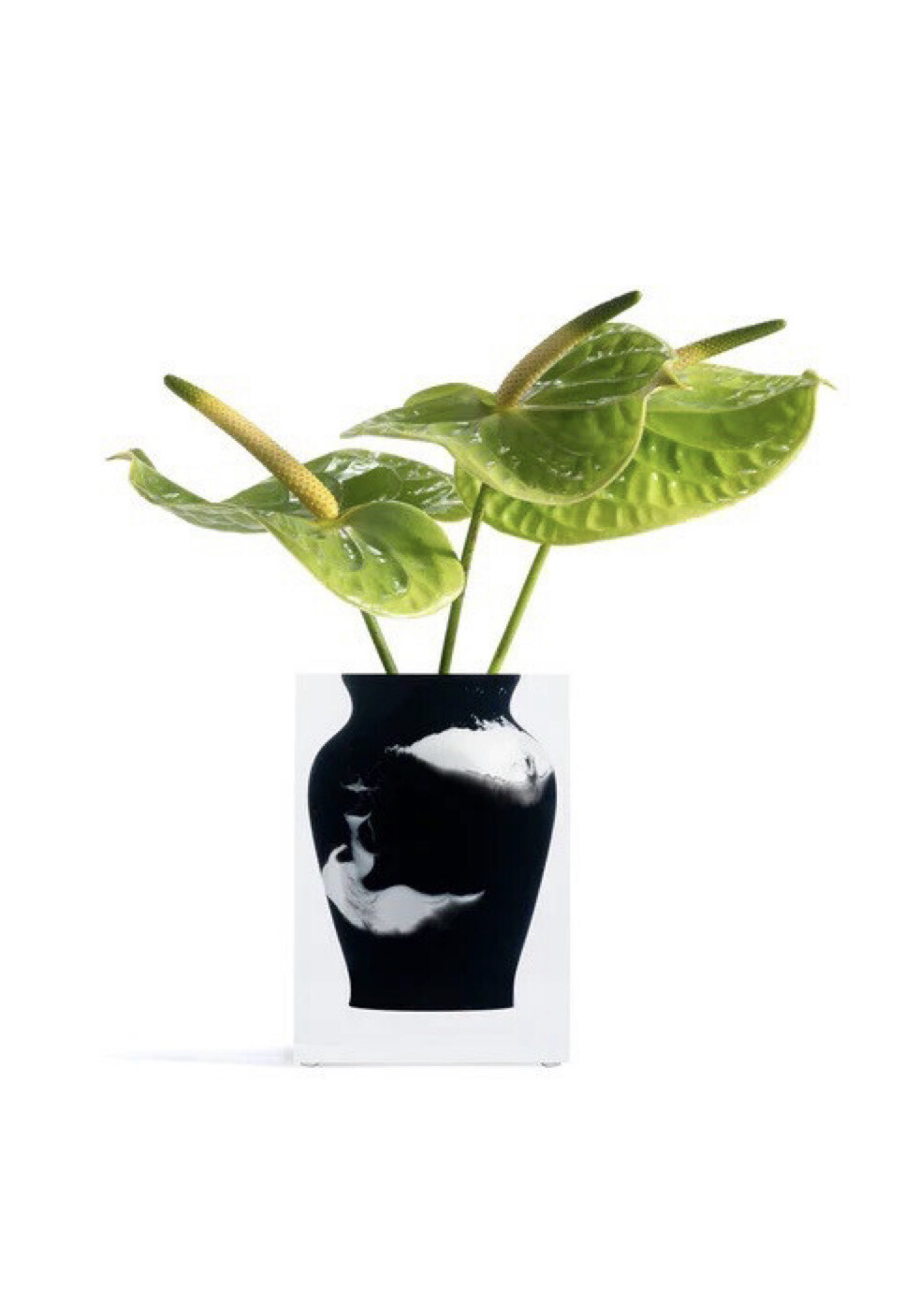 Jr Williams Henry Acrylic Vase PURCHASED
