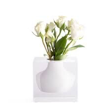 Jr Williams Doyers Vase Needs 2