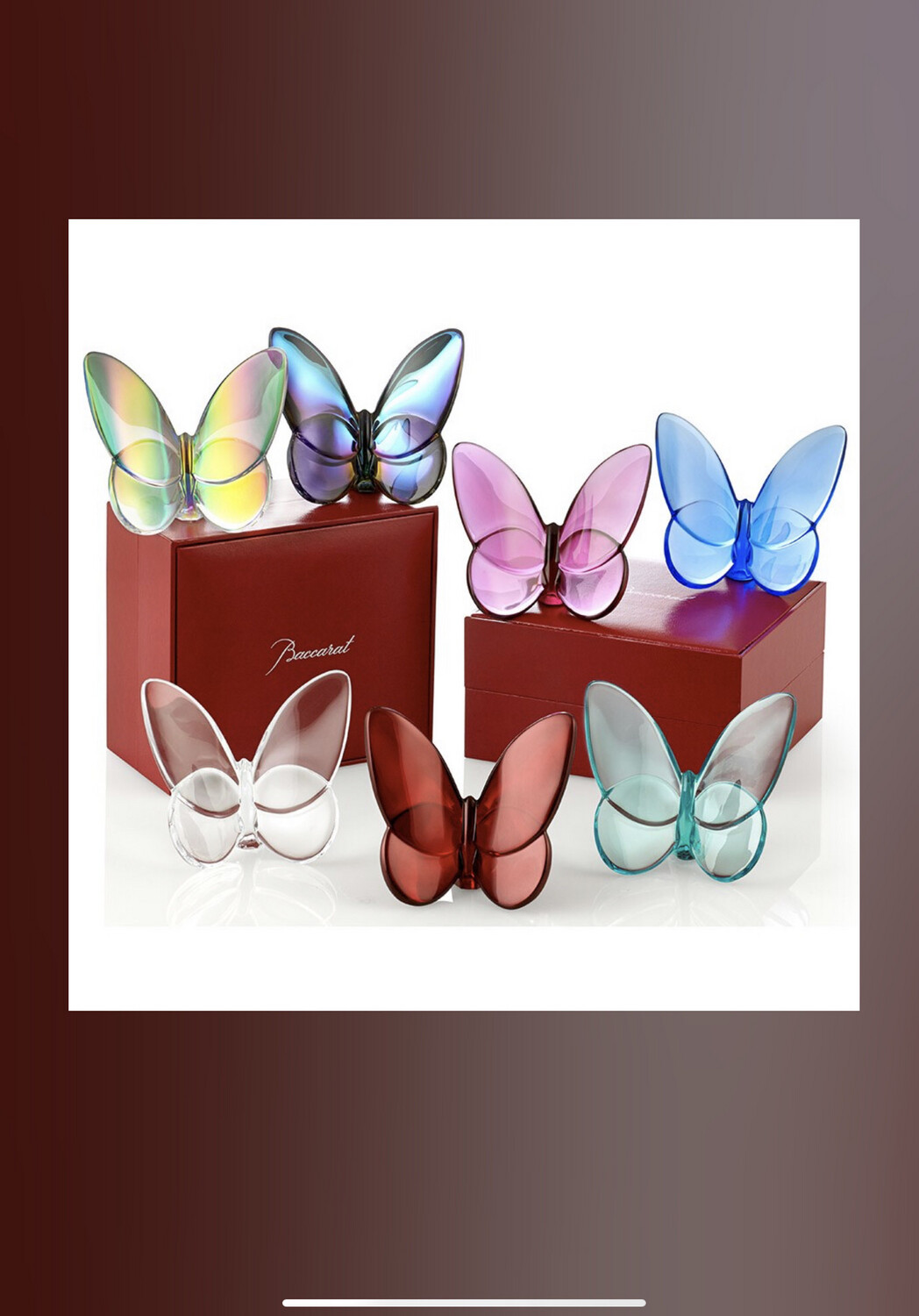 Baccarat Iridescent Butterfly
