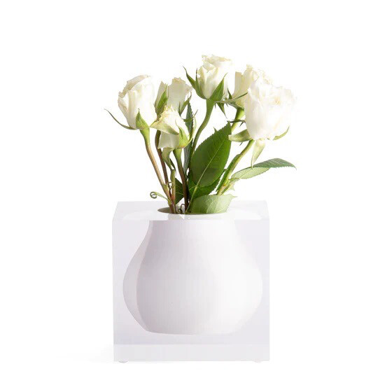 Jr Williams Hampton White Vase 1 Purchased Needs 1
