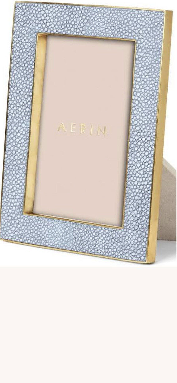 Aerin Shagreen Blue Frame 8x10