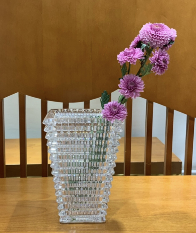Baccarat Rectangular Eye Vase PURCHASED