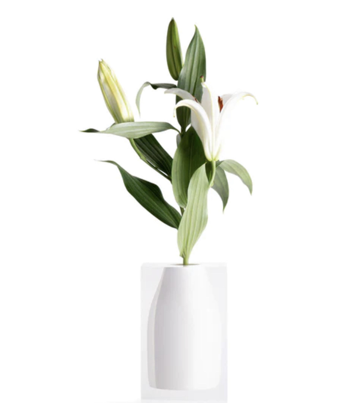 JR Williams Hester Vase