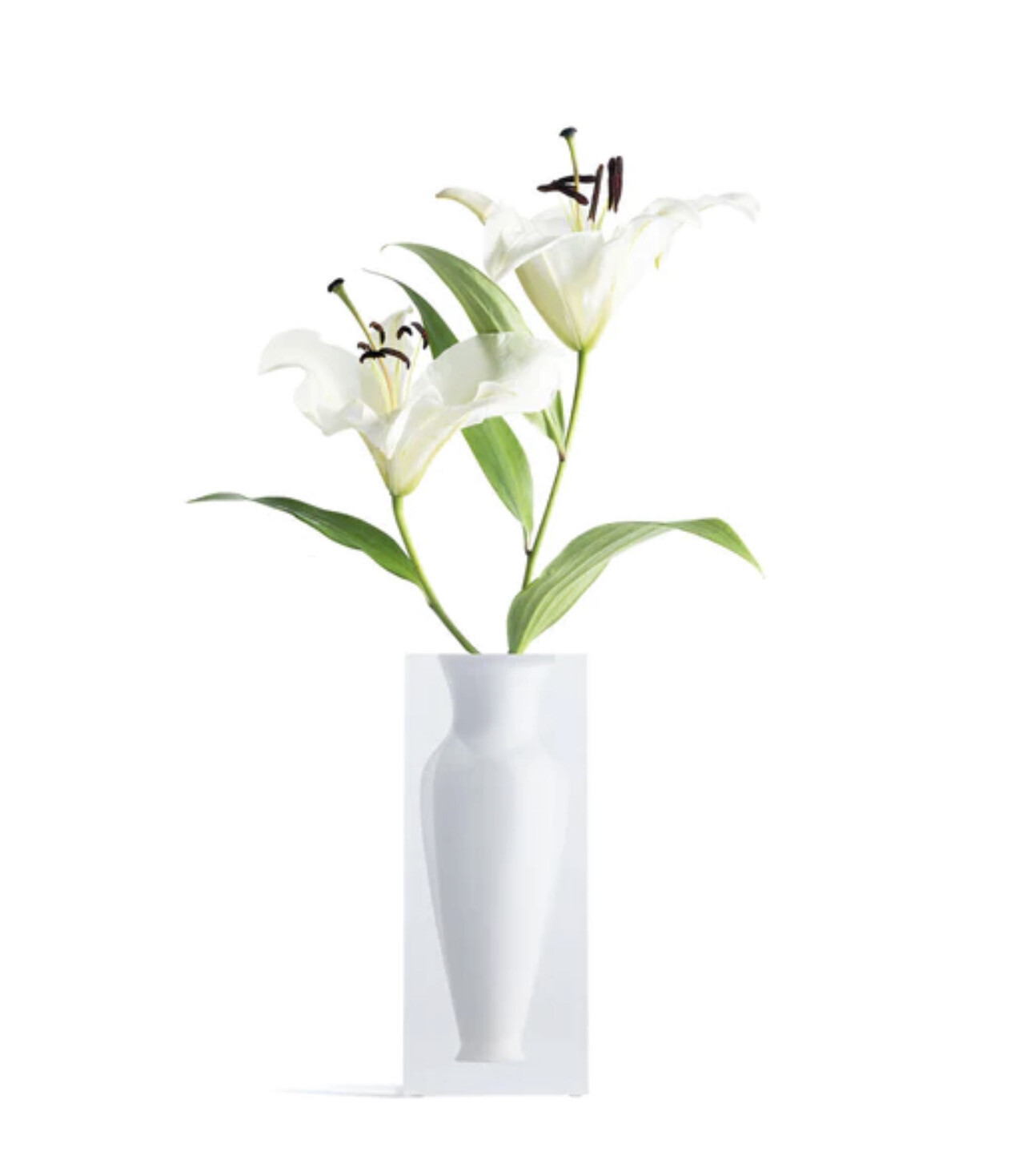 JR Williams Elizabeth Vase