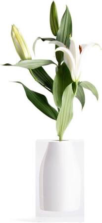 Jr William Vase 2 Purchased