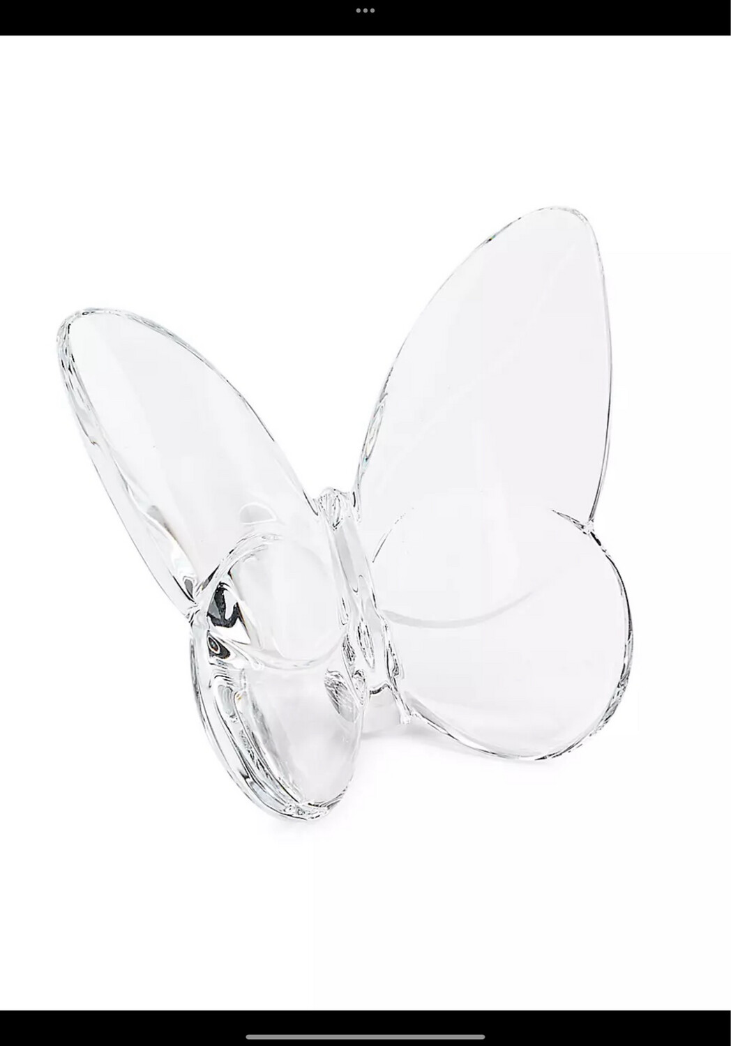 Baccarat Crystal Clear Buttterfly Purchased