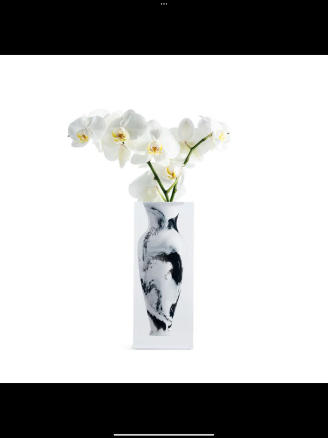 Jr Williams Elizabeth WHITE Vase