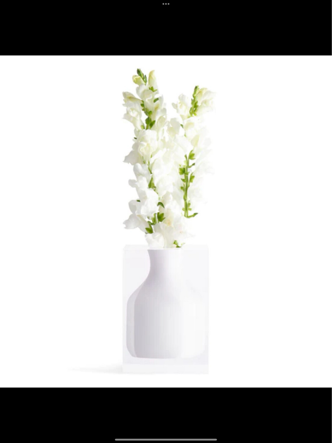 Hogan Vase White Jr Williams 2 Purchased