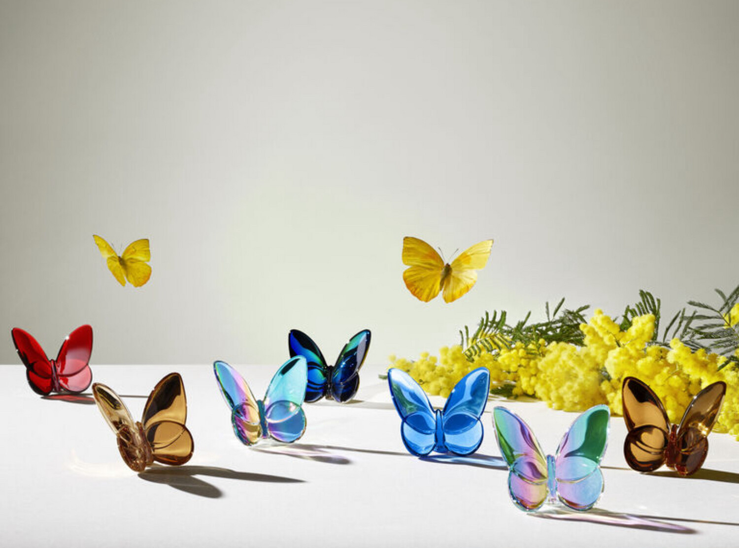 Baccarat Iridescent Butterfly Purchased