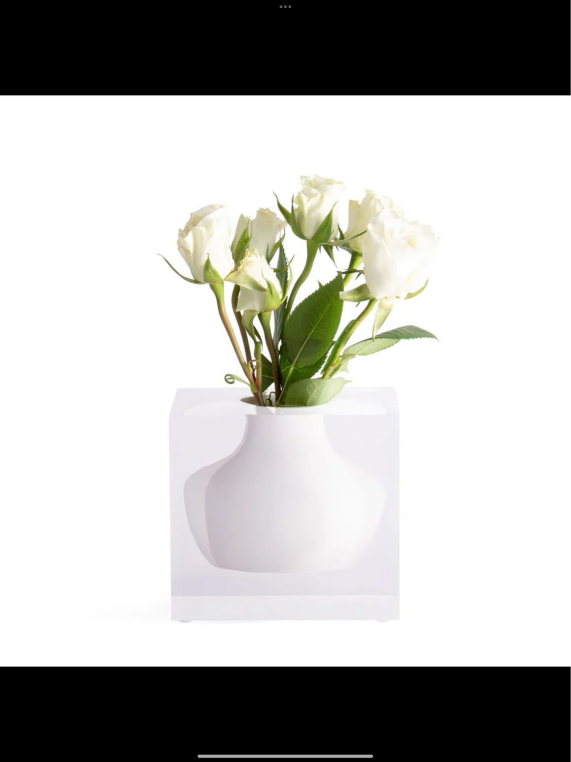 Jr Williams Doyers Vase