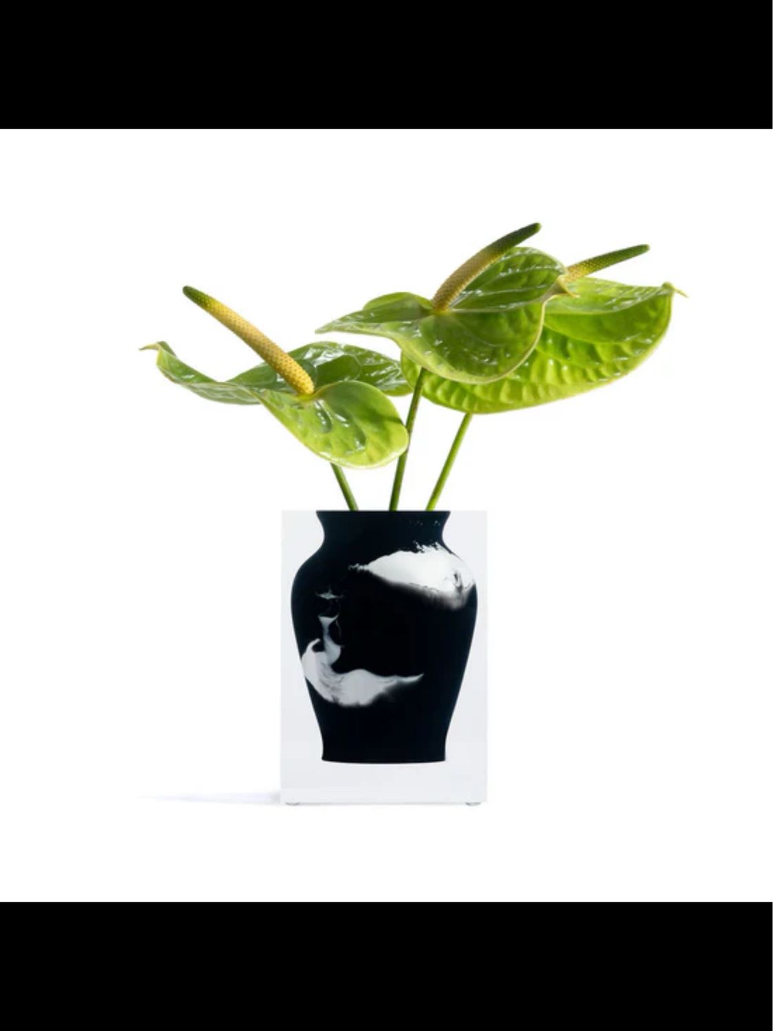 Jr Williams Hogan Vase 1 Purchased Needs 1