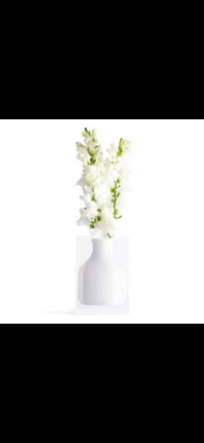 Jr Williams Hogan Vase