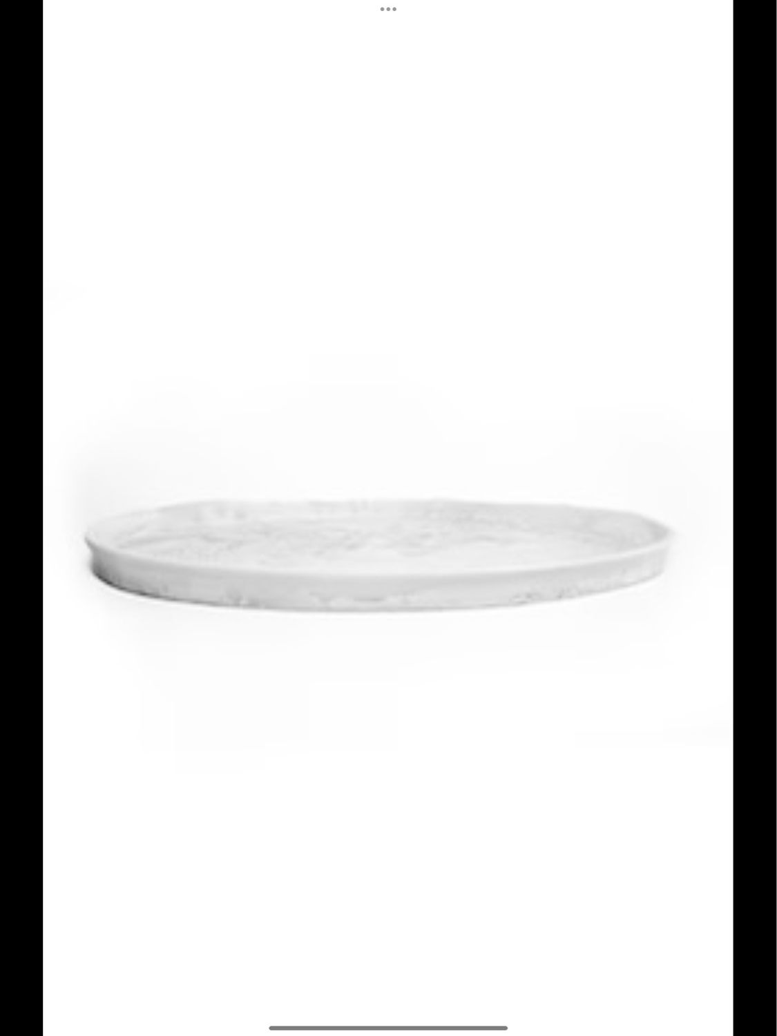 Modern Wick White Fish Platter Purchased