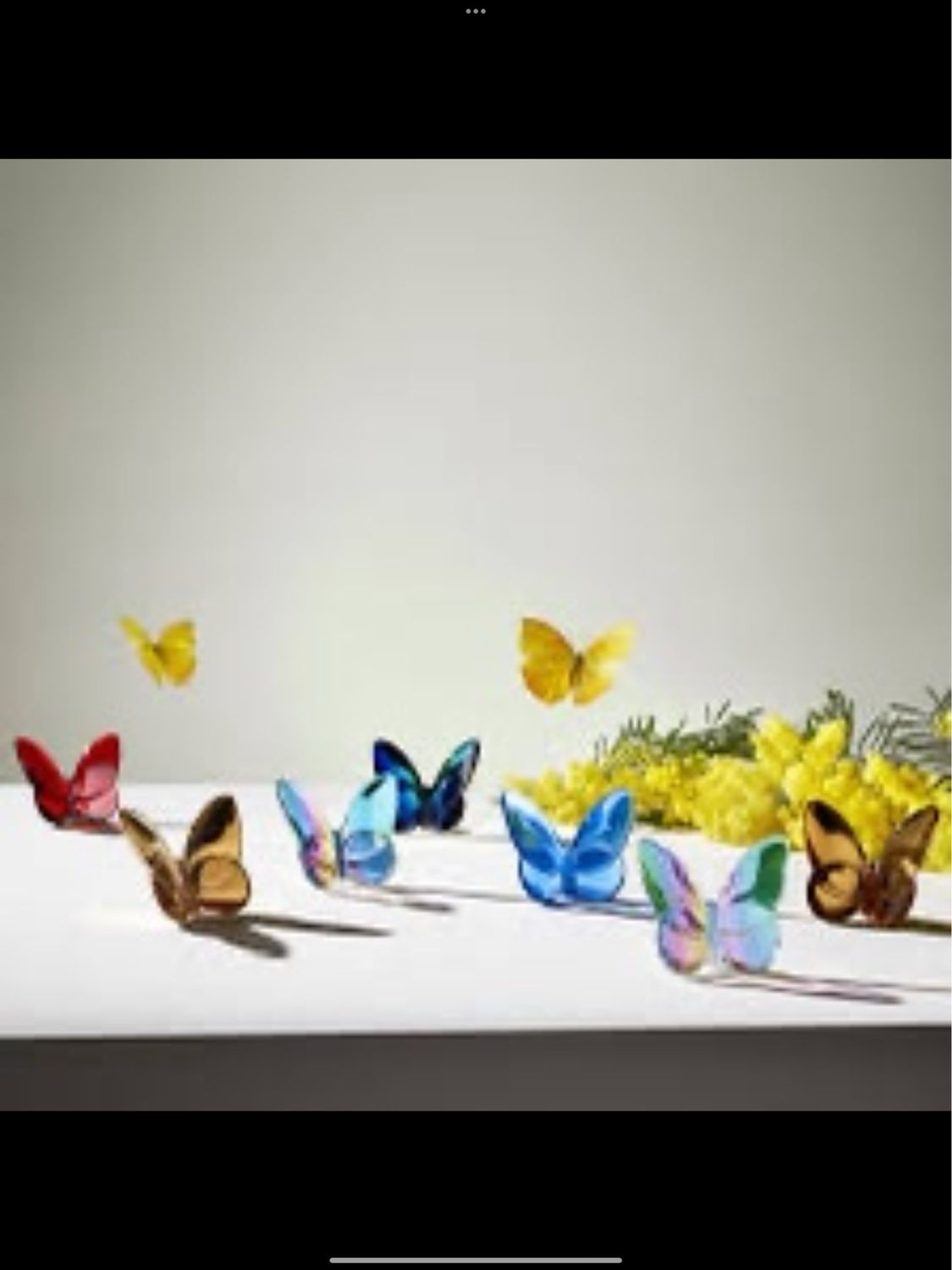 Baccarat Crystal Butterfly Black PURCHASED