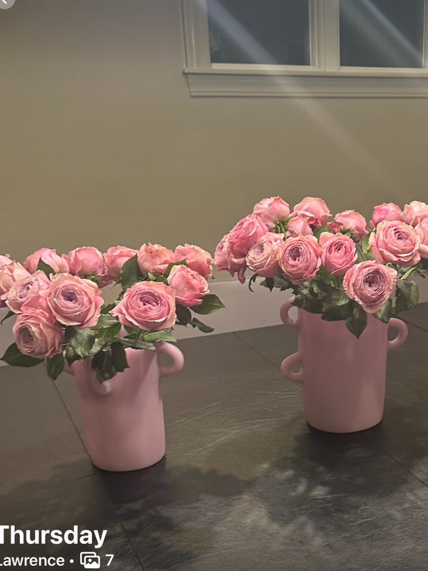 Tina Frey Loopy Medium Vase