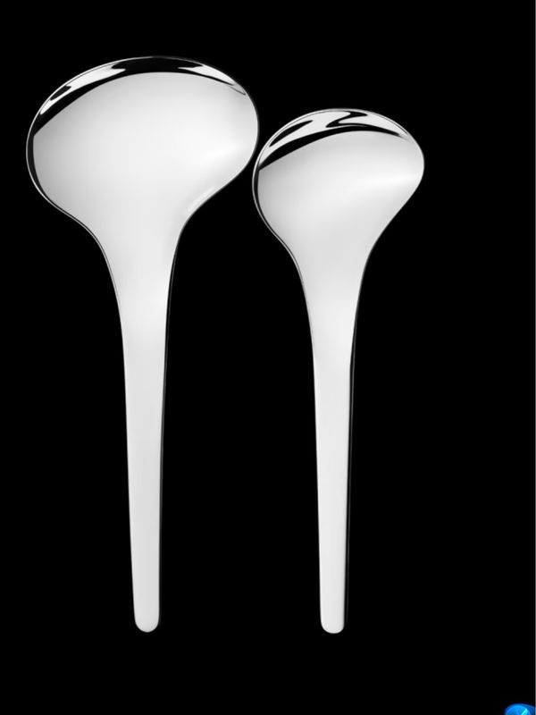 Georg Jensen Servers