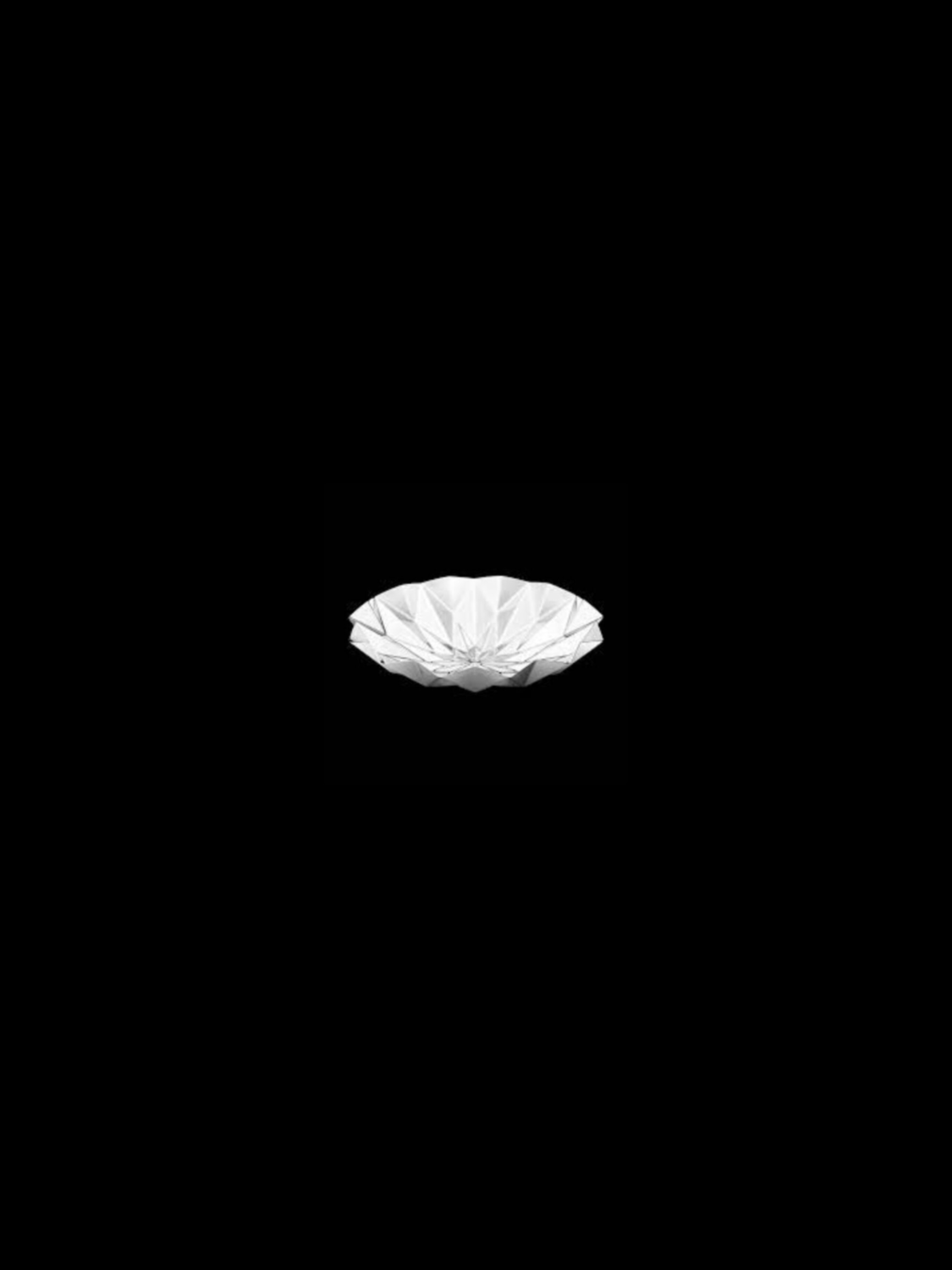Georg Jensen Small Supernova Bowl Purchased