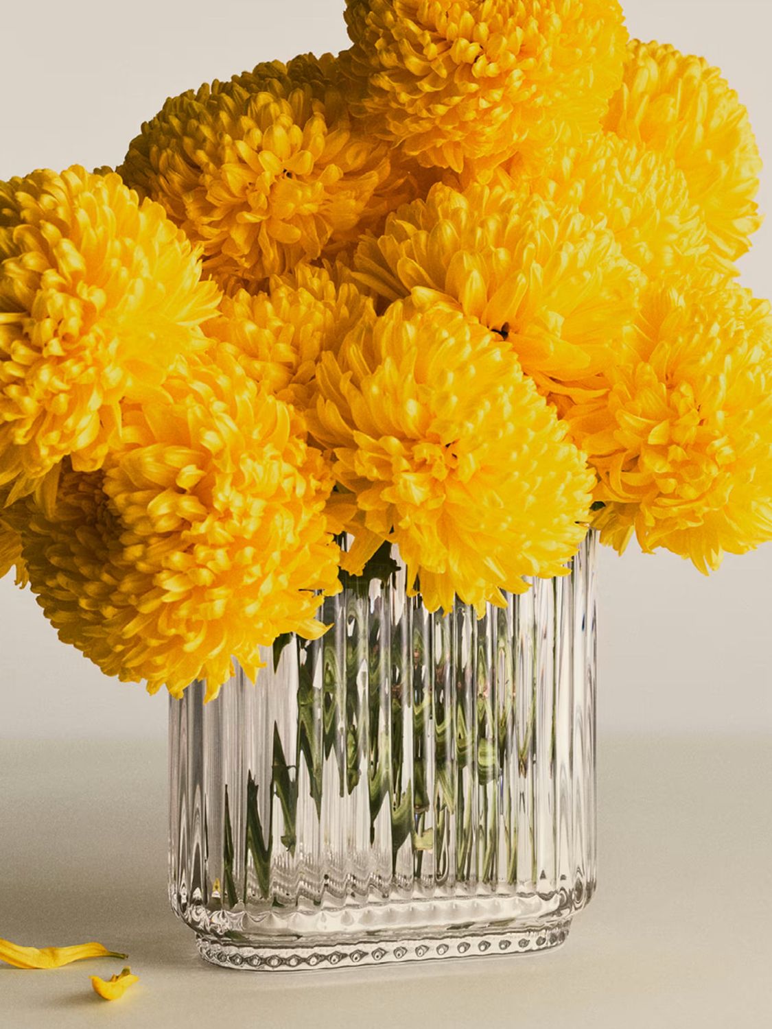 Georg Jensen Bernadotte Oval Vase