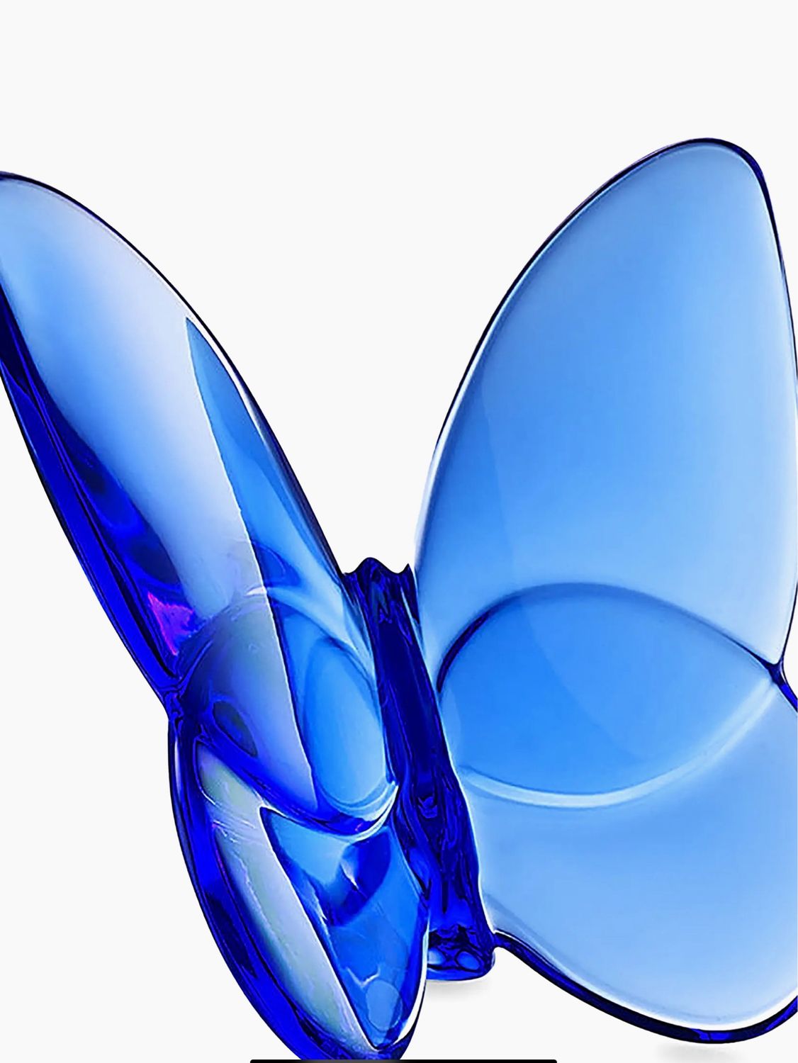 Baccarat Blue Butterfly PURCHASED