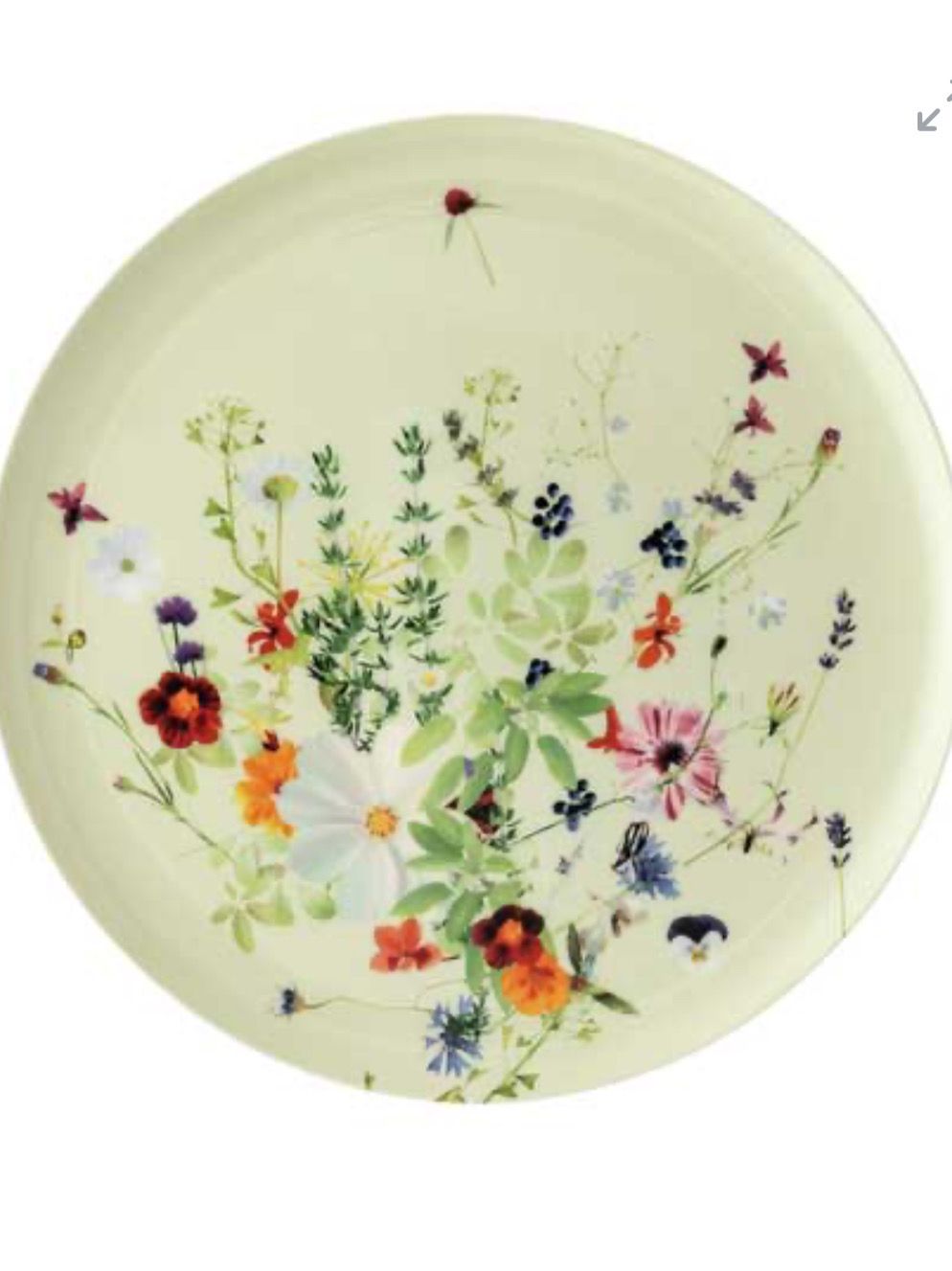 Rosenthal Brilliance Service Plate