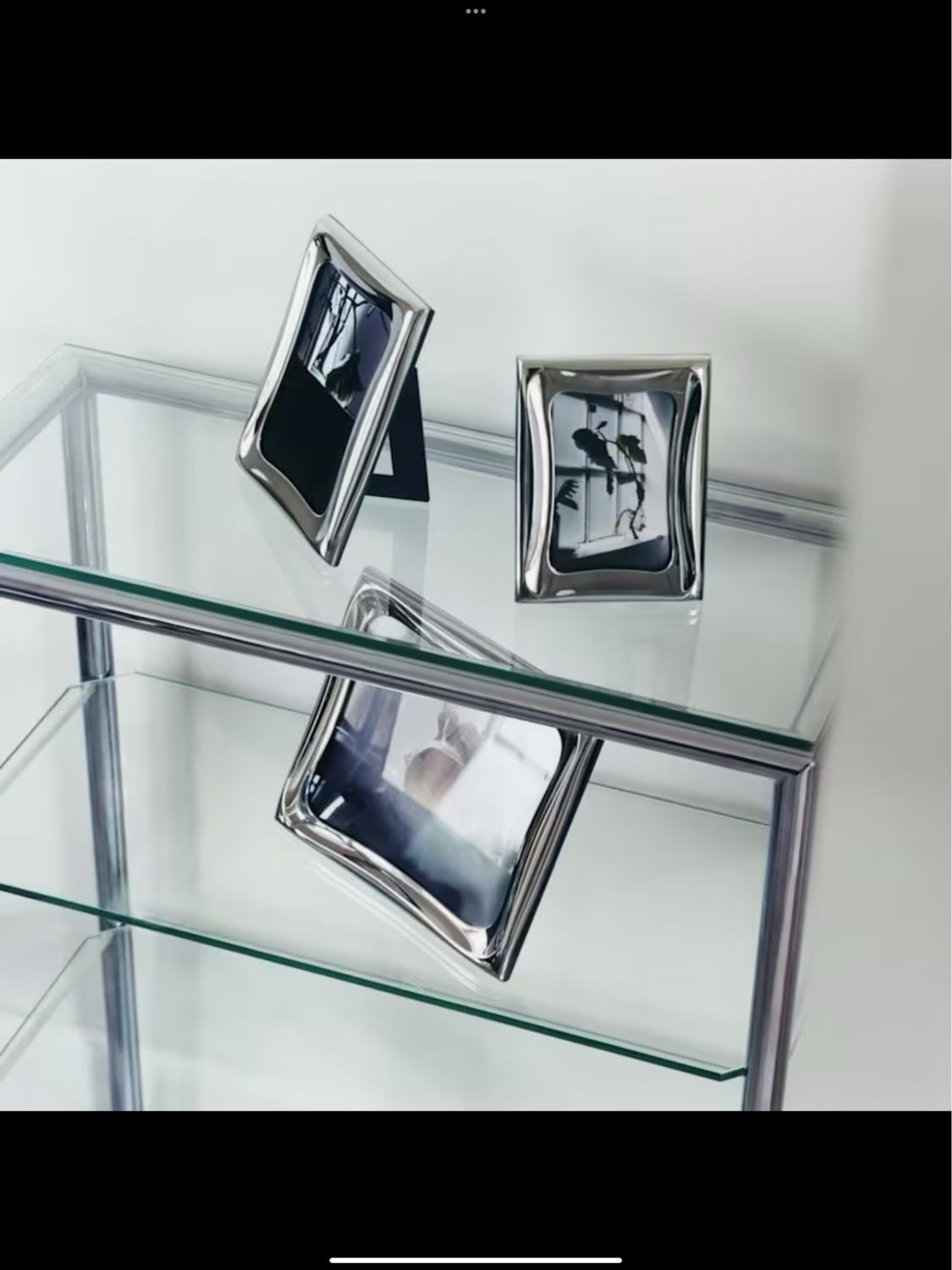 Georg Jensen Cobra Frame 4x6