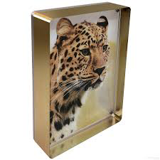 Canetti Gold 5x7 Frame 