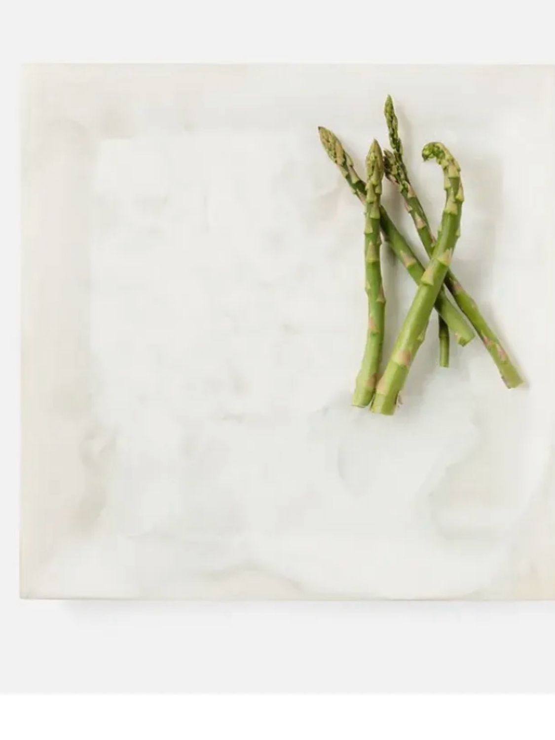 Blue Pheasant Square White Tray