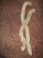 Ayahuasca
