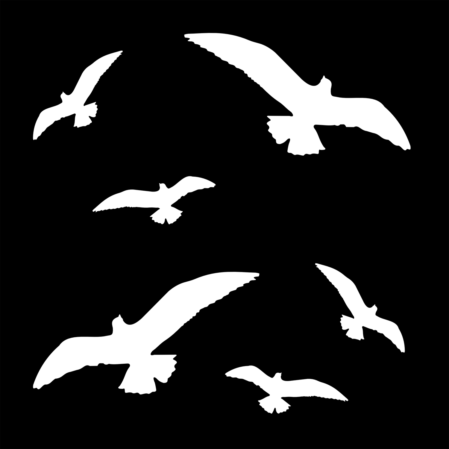 Vogelbescherming stickers set 6  vogels wit