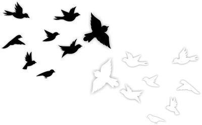 Vogel raamsticker set 16 st.