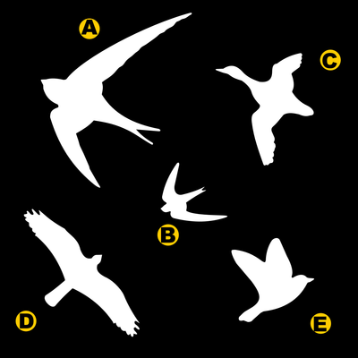 Vogelbescherming stickers