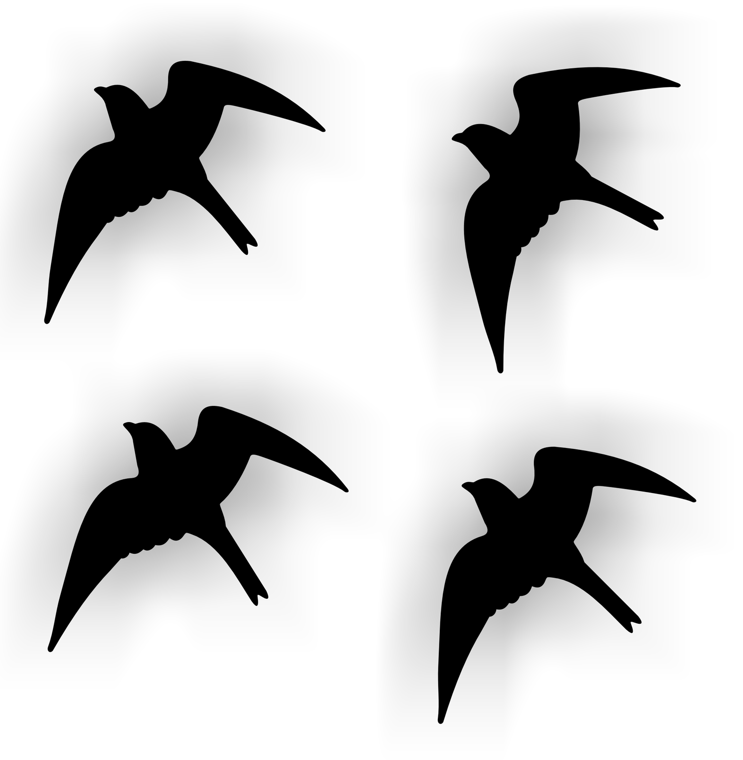 Vogelbescherming stickers set 4 vogels zwart